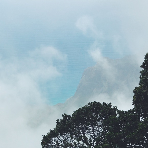 Meet your Posher, Jaedyn - Picture 1 of 1